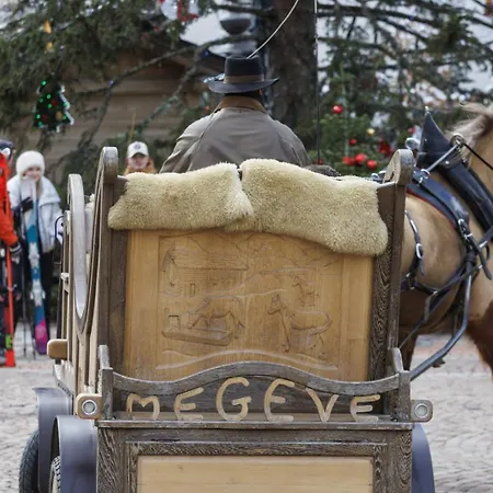 Σαλέ Loue Proximite Pistes Rochebrune Et Centre-ville *