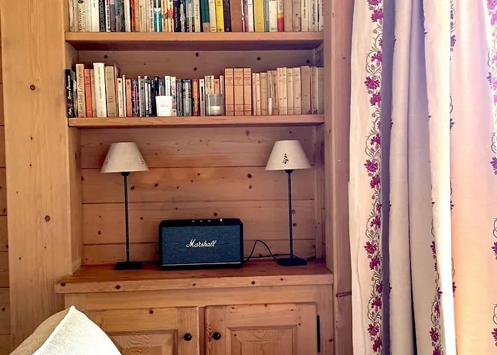 Loue Proximite Pistes Rochebrune Et Centre-ville * Megève