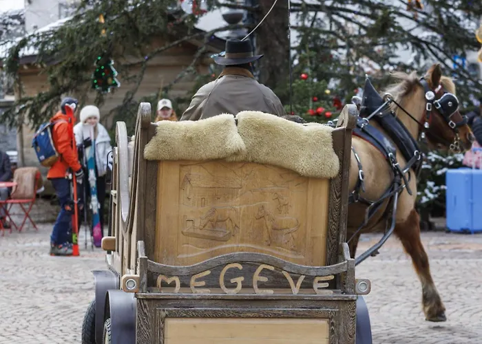 Σαλέ Loue Proximite Pistes Rochebrune Et Centre-ville *