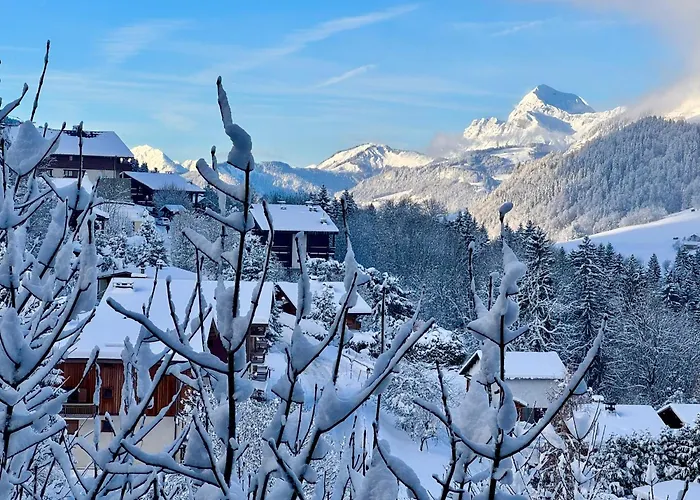 Loue Proximite Pistes Rochebrune Et Centre-ville 木屋 *