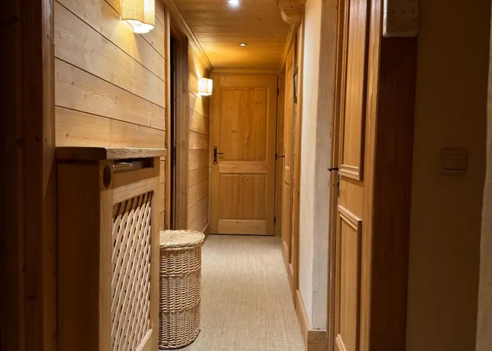 Loue Proximite Pistes Rochebrune Et Centre-ville