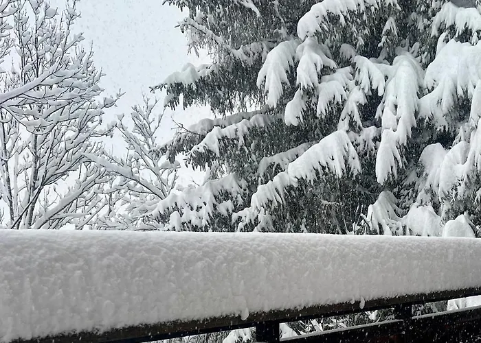 Loue Proximite Pistes Rochebrune Et Centre-ville 木屋 *